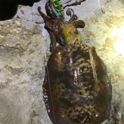 2022年釣り初め！