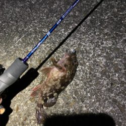 ブルーカレント ベイト