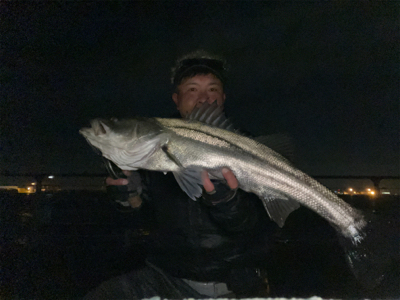 アフターシーバス