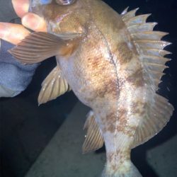 2022ライトゲーム第1戦