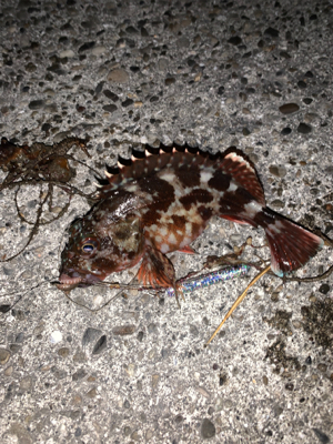 穴釣りとメバリング