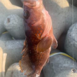 初釣りでっせ！