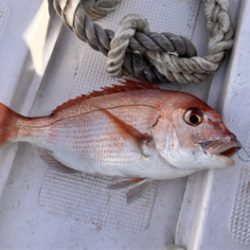 諦めない事ですかね、汗