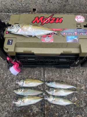 前日激渋からのぉ〜