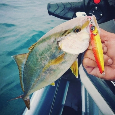 ジェットでジギング