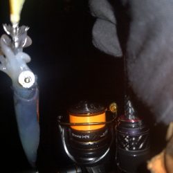 アジング練習366   ソアレXR C2000SSPG