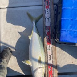 新年初ジギング