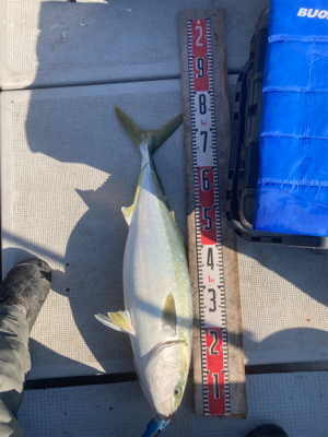 新年初ジギング