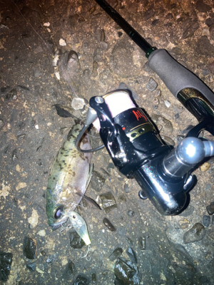 お散歩フィッシング