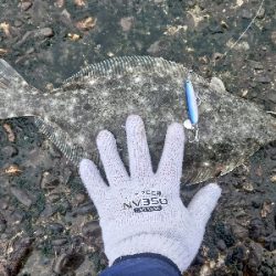 青物不在につき