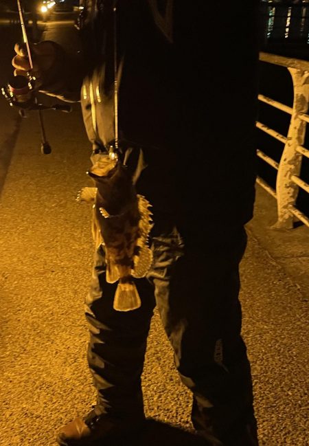 タチウオつり、アジング