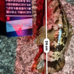 ガシリング 自己記録更新