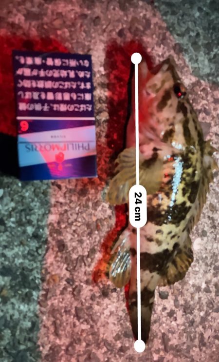 ガシリング 自己記録更新