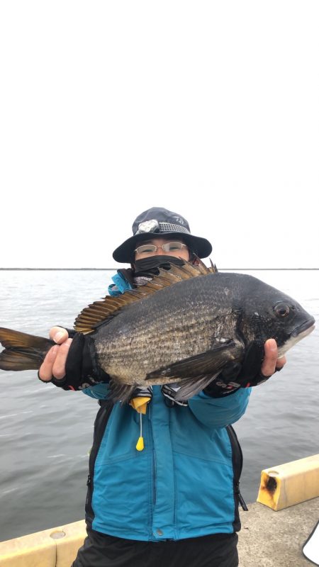 フカセデビュー