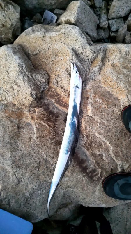 年明け初釣りでボウズ逃れ