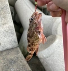 穴釣り