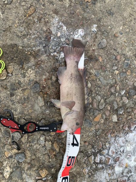 久しぶりの穏やかな風