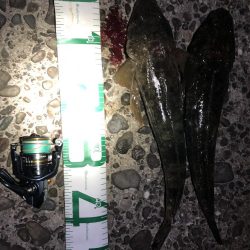 新規開拓からのやっぱりホーム