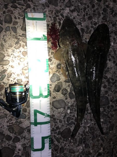 新規開拓からのやっぱりホーム