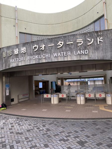 新年服部緑地エリアトラウト