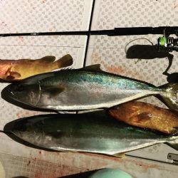 ヒラマサキャスティング