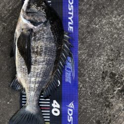 イチノ兄弟、釣果!