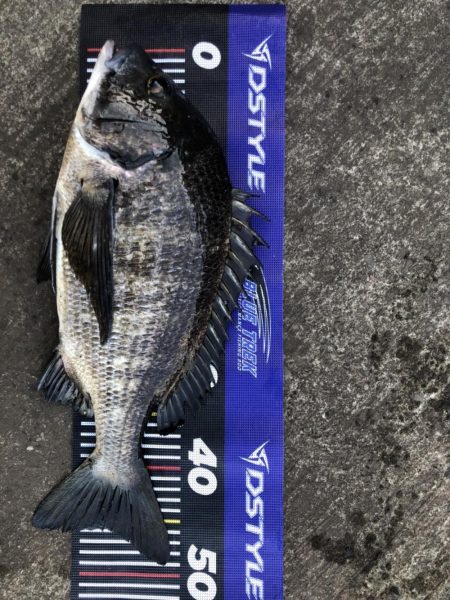 イチノ兄弟、釣果！