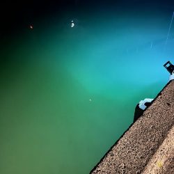 まだ行けるヒイカ釣り!!