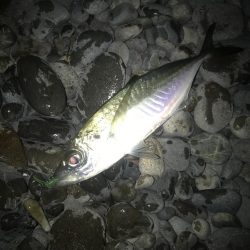 夕マズメのフロートアジング