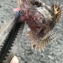 夕マズメのガシラゲーム