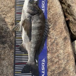 イチノ兄弟、釣果!