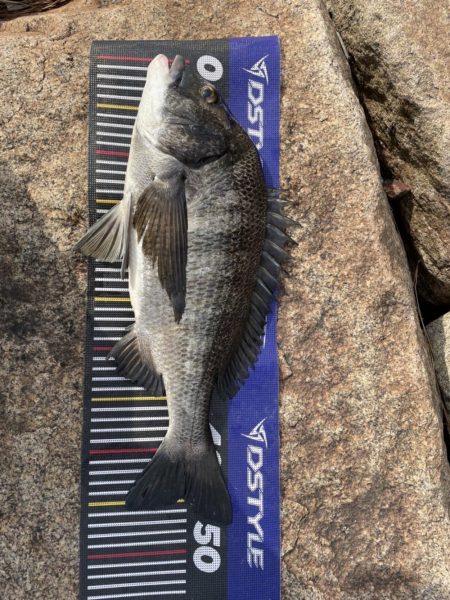 イチノ兄弟、釣果！