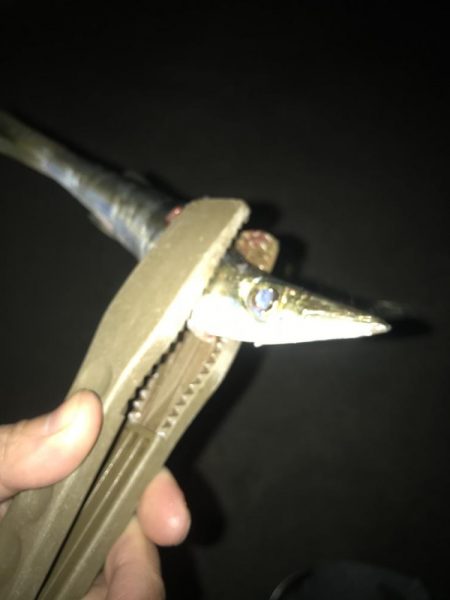 朝マズメのカマス釣り