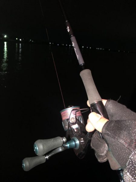 またまたヤリイカ