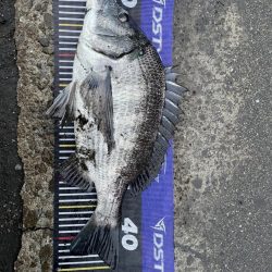 イチノ兄弟、釣果!