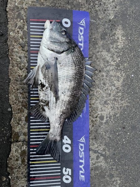 イチノ兄弟、釣果!