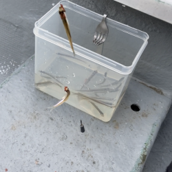 入鹿池でワカサギ釣り