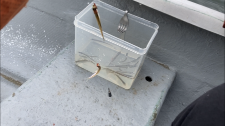 入鹿池でワカサギ釣り