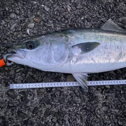 2022年もポッパー!