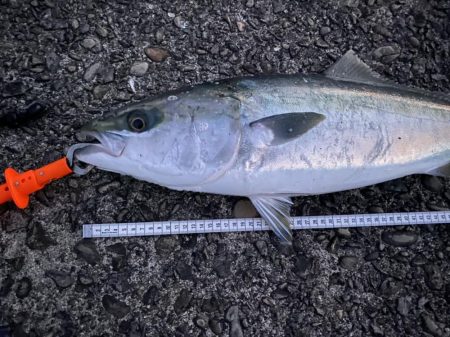 ２０２２年もポッパー！