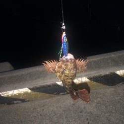 100均ルアーが釣れる理由