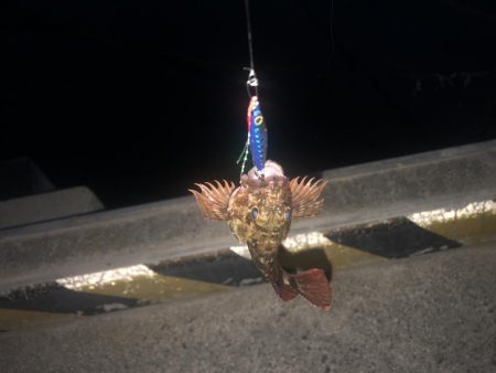 100均ルアーが釣れる理由