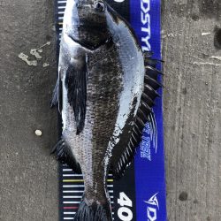 イチノ兄弟、釣果!