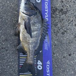 イチノ兄弟、釣果！