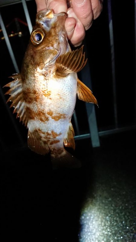 アフター突入？