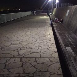 三春岸壁にてちょい投げ釣り❗️