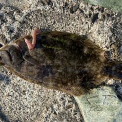 親子ちょい投げ釣り