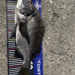 イチノ兄弟、長靴！