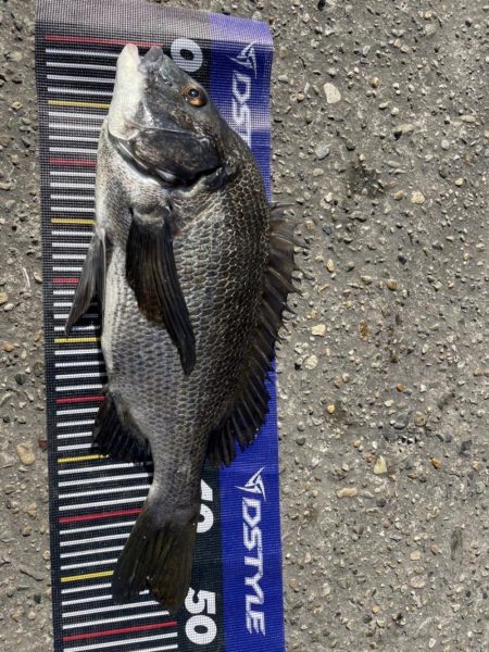 イチノ兄弟、長靴！