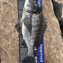 イチノ兄弟、釣果!